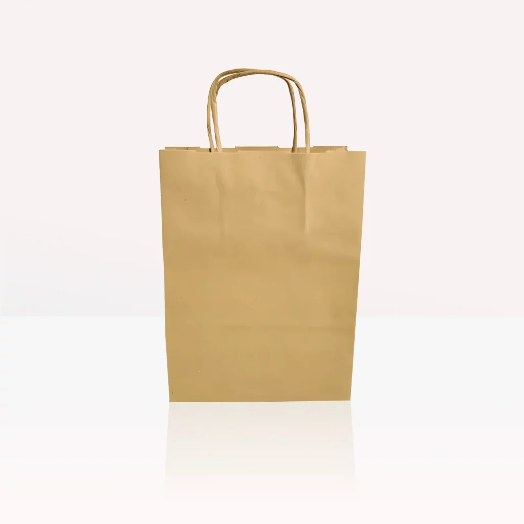 sac kraft poignée torsadée 110gr